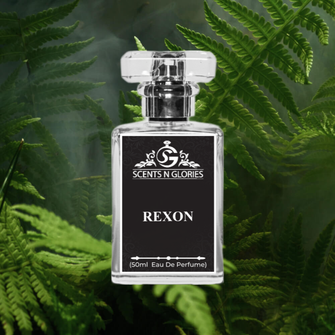 Rexon – Inspired by Hugo Boss